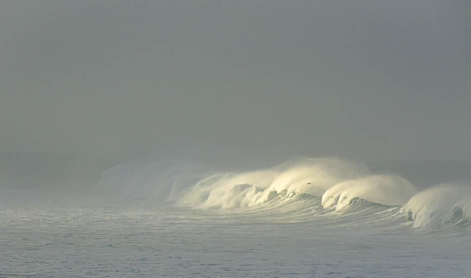 déferlante dans le brouillard